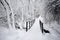 Old park after snowfall, bridge and path leading through the creek