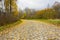 An old paved curved road, covered with yellow leaves in the fall