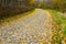 An old paved curved road, covered with yellow leaves in the fall