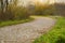 An old paved curved road, covered with yellow leaves in the fall