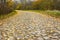 An old paved curved road, covered with yellow leaves in the fall