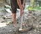 Old People Hands Use Hoe To Level The Ground And Dusty Stones