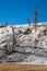 Old petrified tree grew in the hot springs of Mammoth Hot Springs in Yellowstone National Park