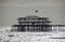 The old pier in Brighton and the seagull.