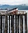 Old Pier in Icy Strait Alaska