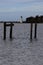 Old pier posts lead toward a little lighthouse in the distance