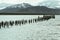 Old Pier. Puerto Natales, Chile