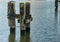 Old pier in the water of the harbour made of weathered thick wooden beams and piers