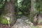 Old Pilgrimage Route to Nachi in Kumano, Japan