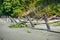 Old Pilings On The Shoreline 5