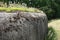 Old pillbox bunker