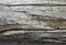 Old pine drift wood texture closeup