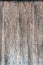 old pine polished Wooden wall surface, texture and background