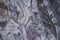 Old pine tree bark closeup texture photo. Rustic tree trunk closeup.