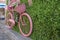 Old pink basket bike standing on pavement. It& x27;s attached to the wall