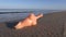 Old plastic doll torso fragment on sea beach