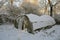 Old plastic greenhouse in derelict farm and snow