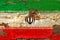 Old plumbed Iran flag on wood.