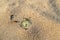 Old pocket watch with cracked glass partially buried in sand