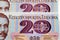 Old Polish money twenty zloty