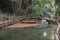 Old pond with the wooden bridge in a shadowy park