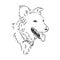 The old poor mangy dog look sad and lonely., mongrel, abandoned dog, vector sketch illustration