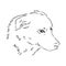 The old poor mangy dog look sad and lonely., mongrel, abandoned dog, vector sketch illustration