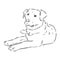 The old poor mangy dog look sad and lonely., mongrel, abandoned dog, vector sketch illustration