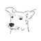 The old poor mangy dog look sad and lonely., mongrel, abandoned dog, vector sketch illustration