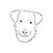 The old poor mangy dog look sad and lonely., mongrel, abandoned dog, vector sketch illustration