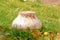 An old pot made of cast iron lies upside down on the grass outside. old rural utensils of cast iron. dirty cast iron pot.