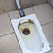 An old public floor-standing toilet, with broken tiles and rust. foreground and background blurred with bokeh effect