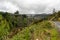 Old railorad bridge over a valley in New Zealand