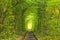Old railway line. Nature with the help of trees has created a unique tunnel. Tunnel of love - wonderful place created by nature
