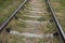 The old railway. Rails overgrown with grass