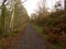 Old railway track now walkway, Wyre Forest