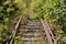 Old railway tracks overgrown with trees. Forgotten railway line.