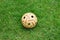 Old Rattan ball or takraw on grass