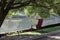 An old red armchair on the lake in the park, under the branches of a tree