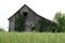 Old Red Barn in Illinois Wheat Field 2019 IV