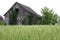 Old Red Barn in Illinois Wheat Field 2019 V