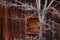 Old Red Barn Wooden Wall Background Texture with Nails White Tree with no leaves branches