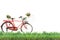 Old red Bicycle with basket flowers and green grass on white background