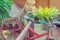 The old red bike hangs on a steel rail near the pool