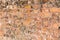 Old red brick falling apart wall texture background