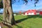 Old Red Cedar Tree and Farm Buildings