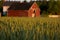 Old red country barn