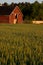 Old red country barn