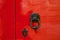 Old red door with lion head metal knockers