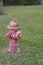 Old Red Fire Hydrant with grass background